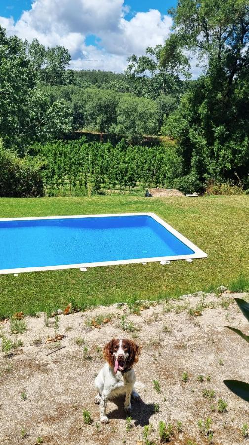 Holiday home Quinta Do Sanguinhal