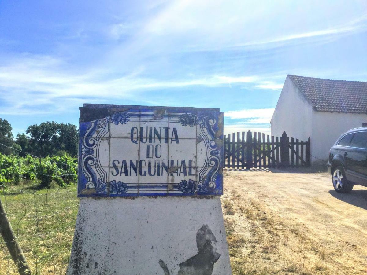 Holiday home Quinta Do Sanguinhal