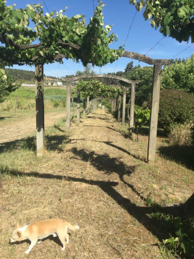 Holiday home Quinta Do Sanguinhal Rio Maior