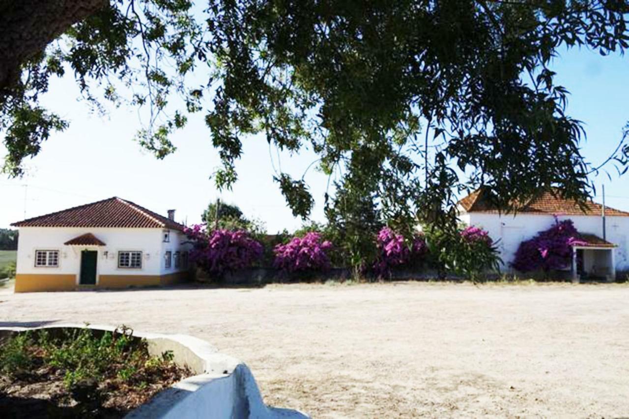 Quinta Do Sanguinhal * Rio Maior